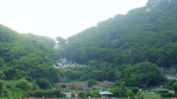 Double Room, Ocean View | Mountain view