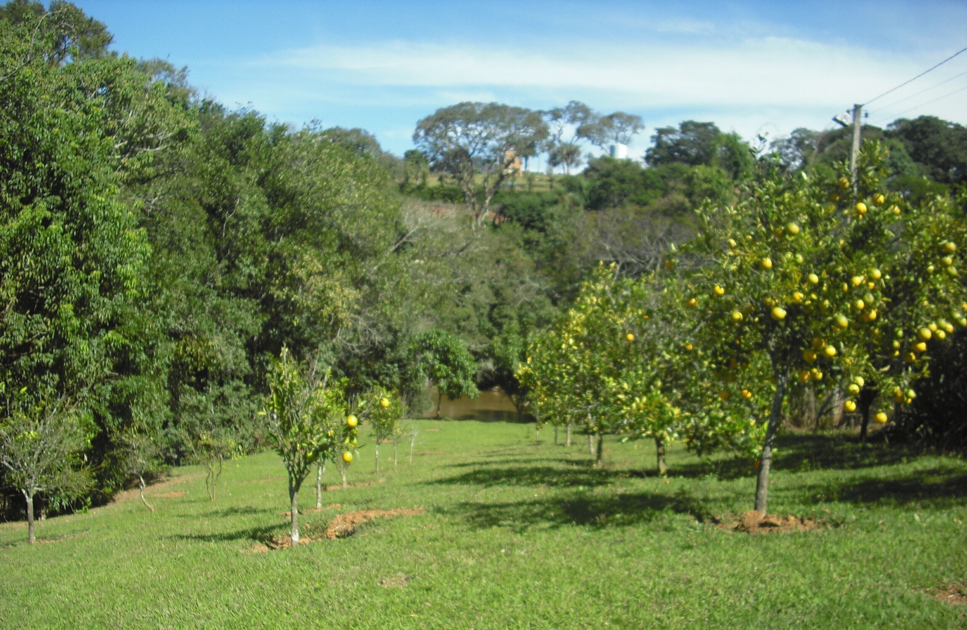 Área da propriedade