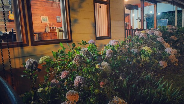 A building with large windows, a wooden interior, and a garden with hydrangea flowers. - Best immersion experience in a Farm at Finca Queveri (Orosi)