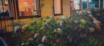 Best immersion experience in a Farm at Finca Queveri