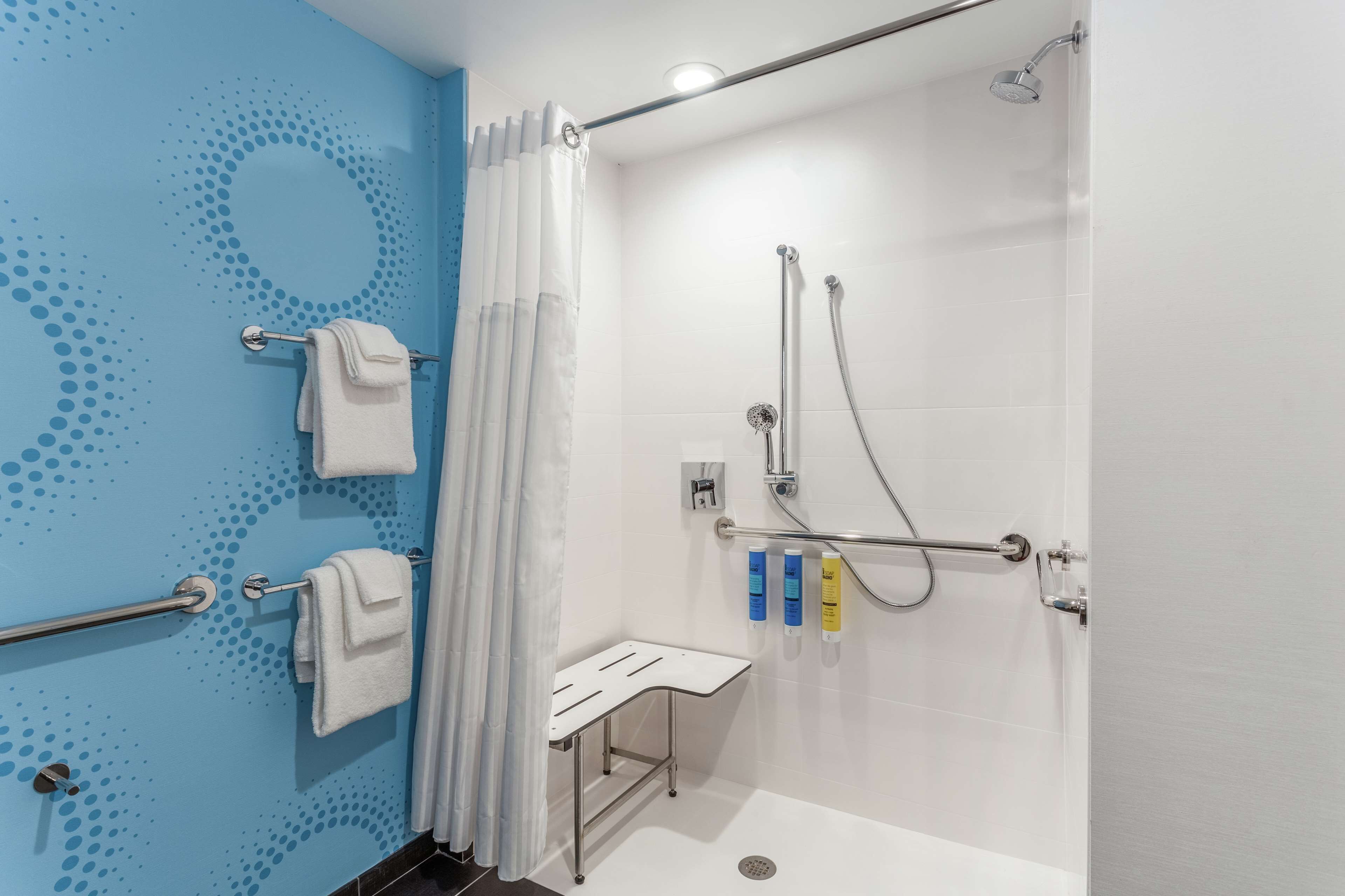 room, 1 king bed, accessible (hearing) | bathroom shower