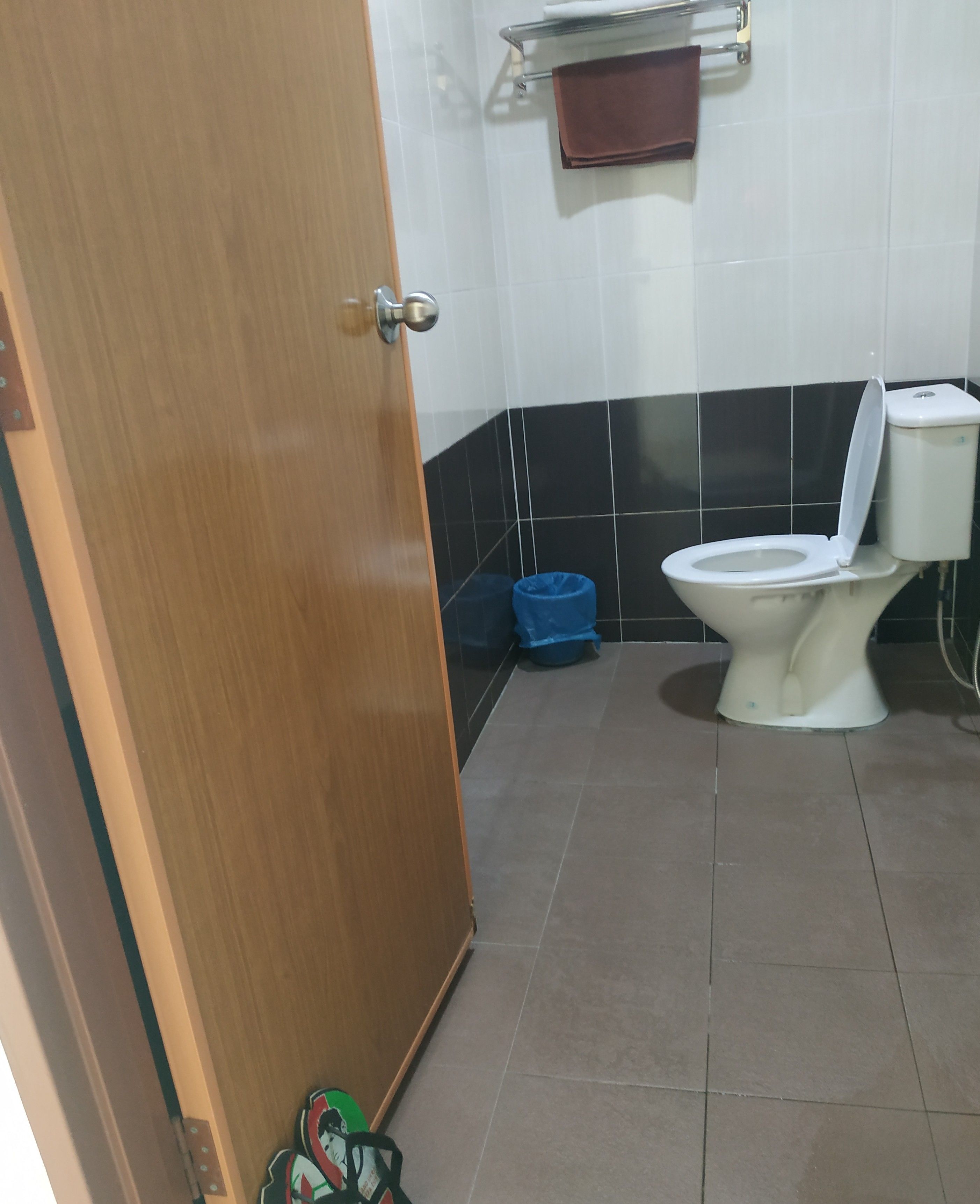 A bathroom with a toilet, a blue trash bin, and a wooden door.
