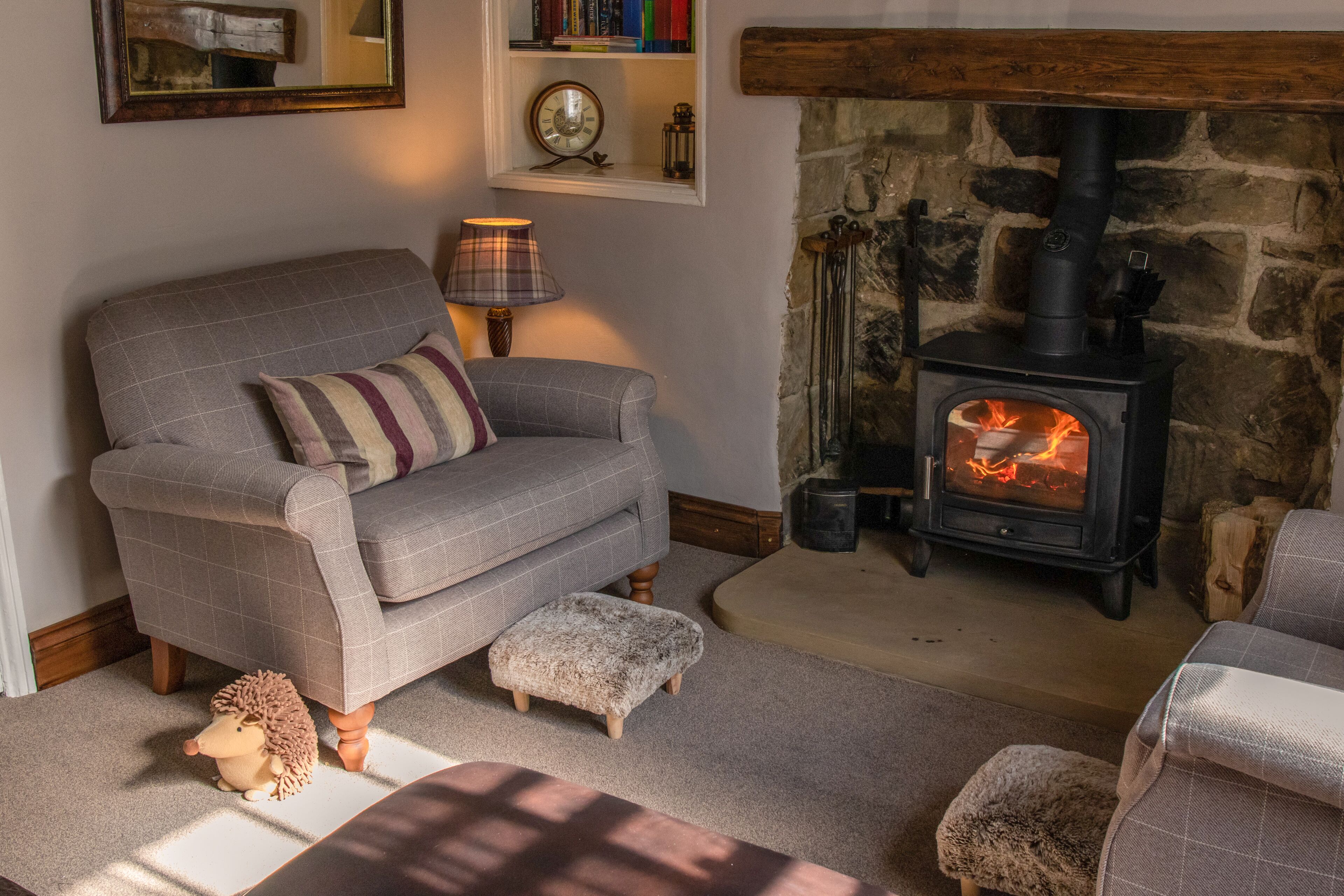 Smart-TV, Kamin, DVD-Player, Bücher