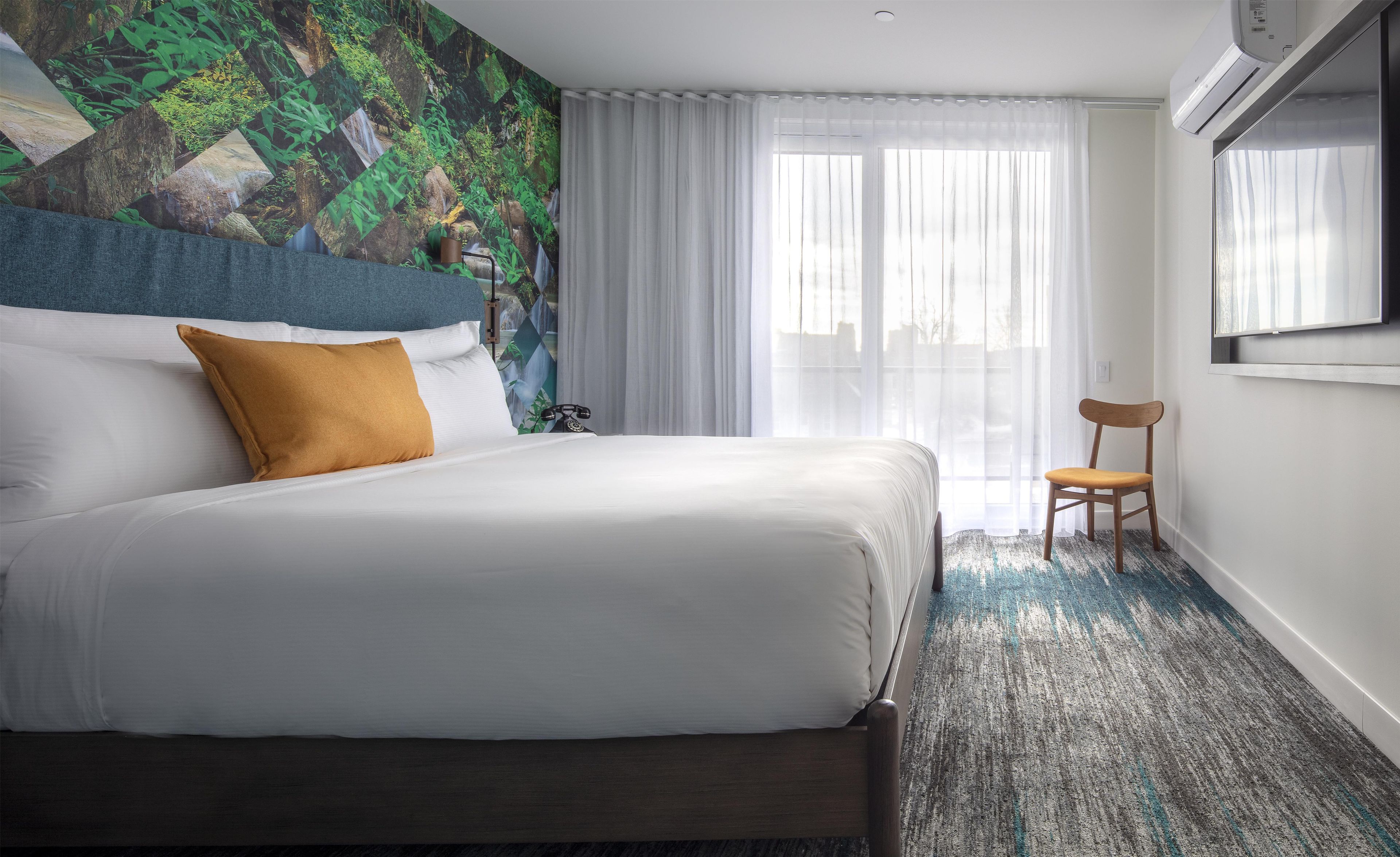 Habitación de hotel con una cama, una silla, un ventanal con cortinas y un mural temático de naturaleza.