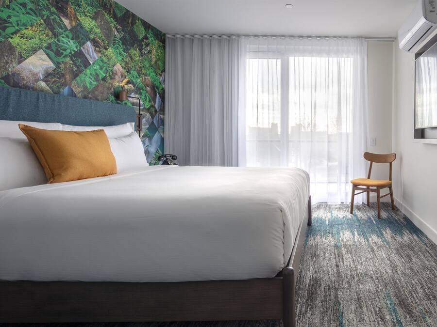Habitación de hotel con una cama, una silla, un ventanal con cortinas y un mural temático de naturaleza.