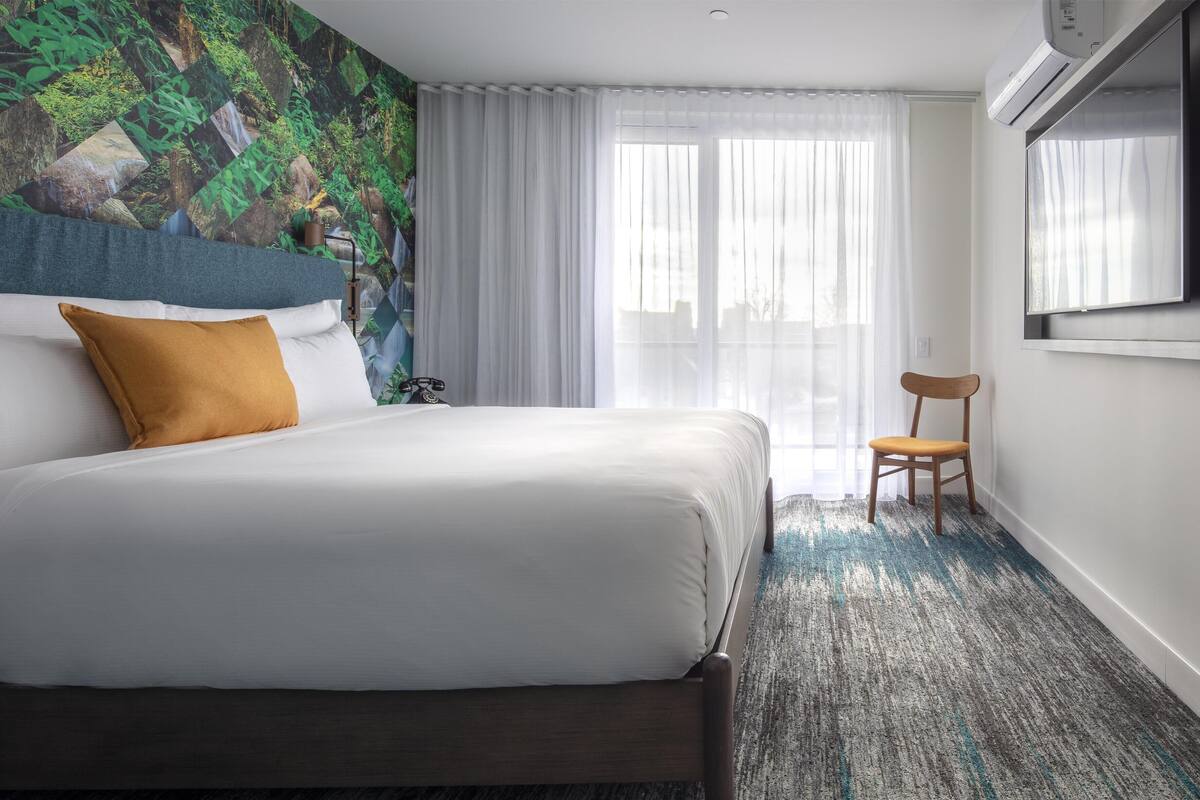 A hotel room with a large bed, a chair, a window with sheer curtains, and a wall with a nature-themed wallpaper.
