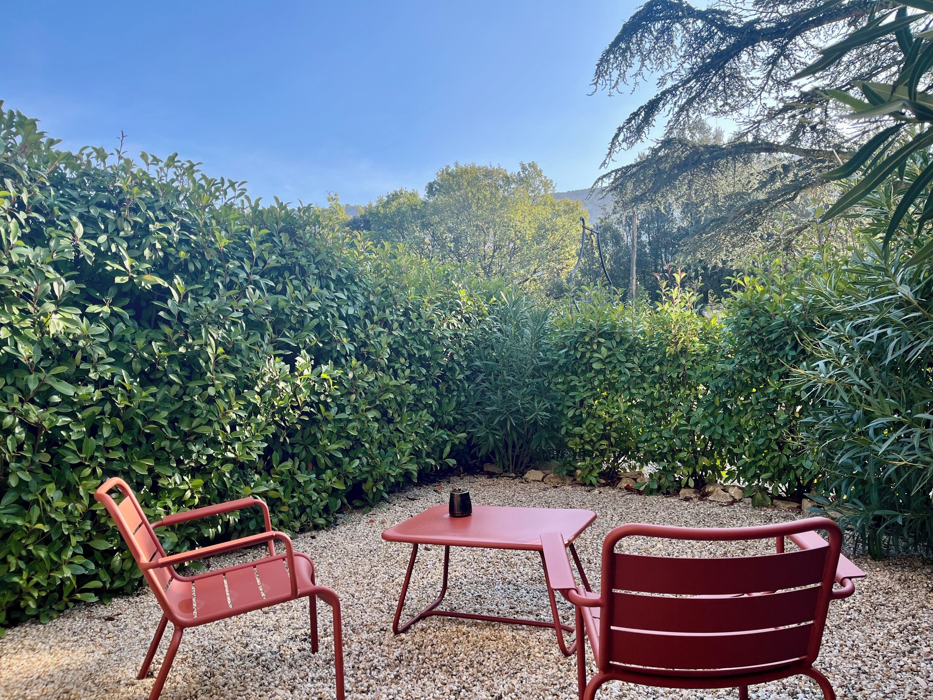 A garden patio with two red metal chairs and a small table, surrounded by dense green foliage and a clear blue sky.