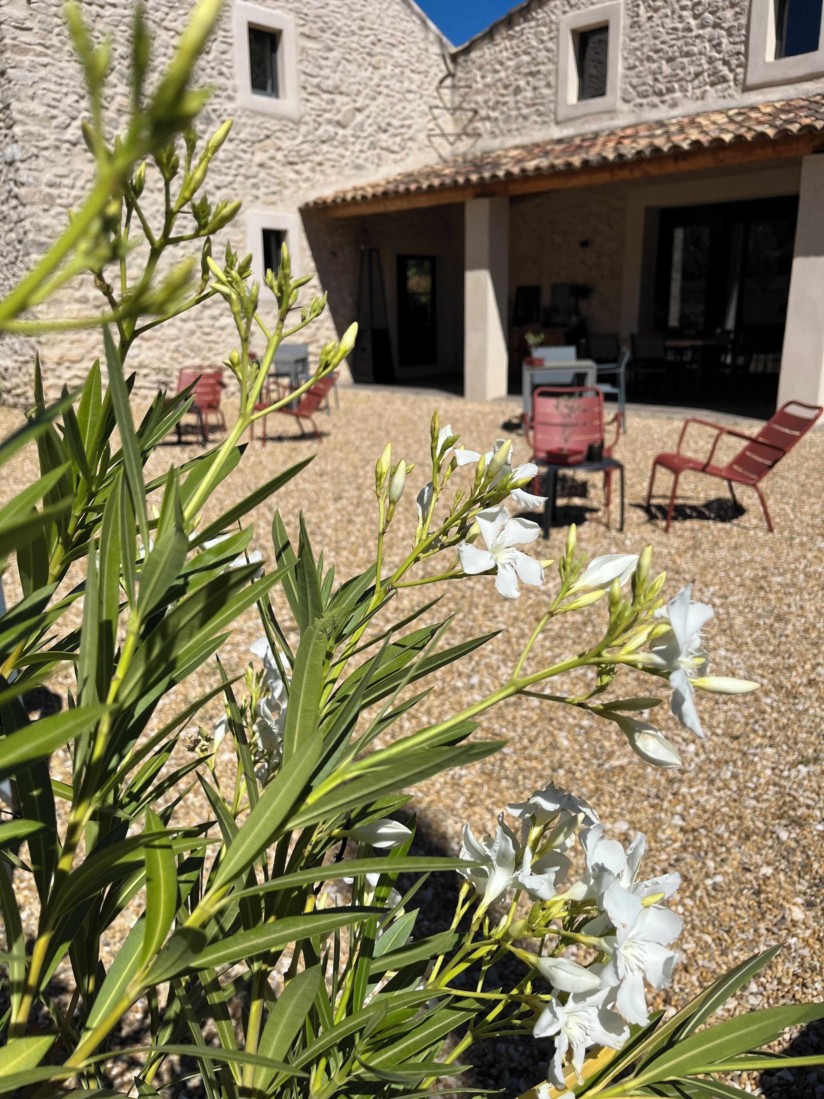 Un edificio de piedra con un patio, mobiliario exterior y una planta con flores blancas al frente.