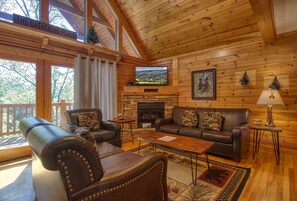 TV, fireplace, video games, DVD player