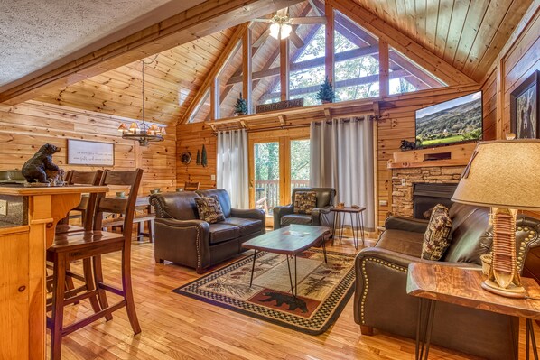 TV, fireplace, video games, DVD player