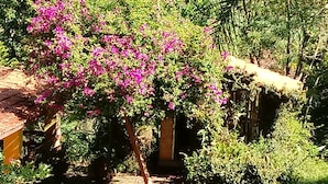 A garden with a flowering tree, a thatched-roof structure, and a pathway. - An excellent place for rest and relaxation surrounded by nature. (Bragança Paulista)
