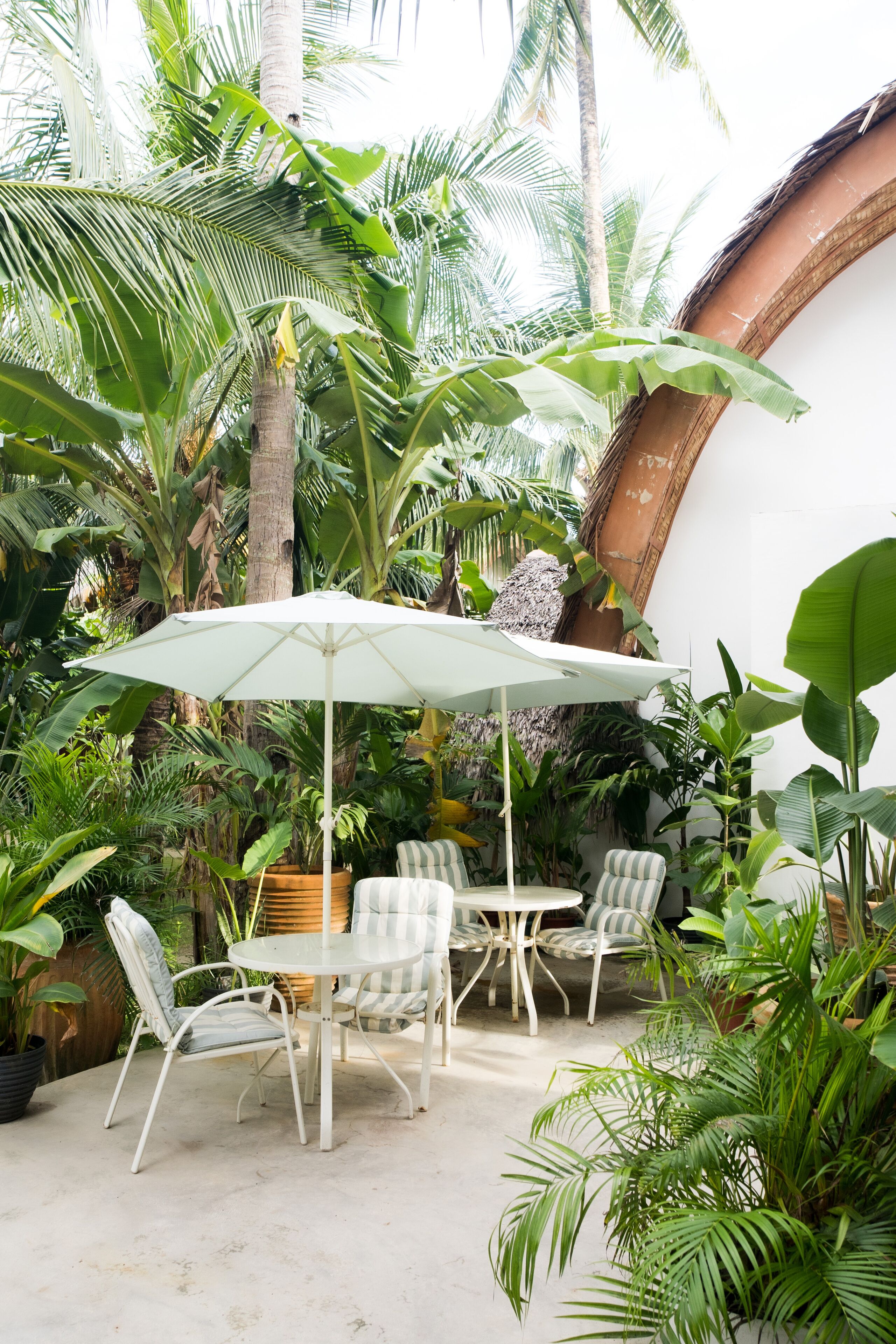 An outdoor patio with a round table and chairs, surrounded by lush tropical plants and a white umbrella.