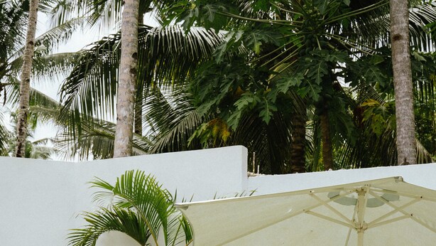 A patio with a white table and chairs, an umbrella, and a potted plant. - Tropical Temple Siargao (General Luna)