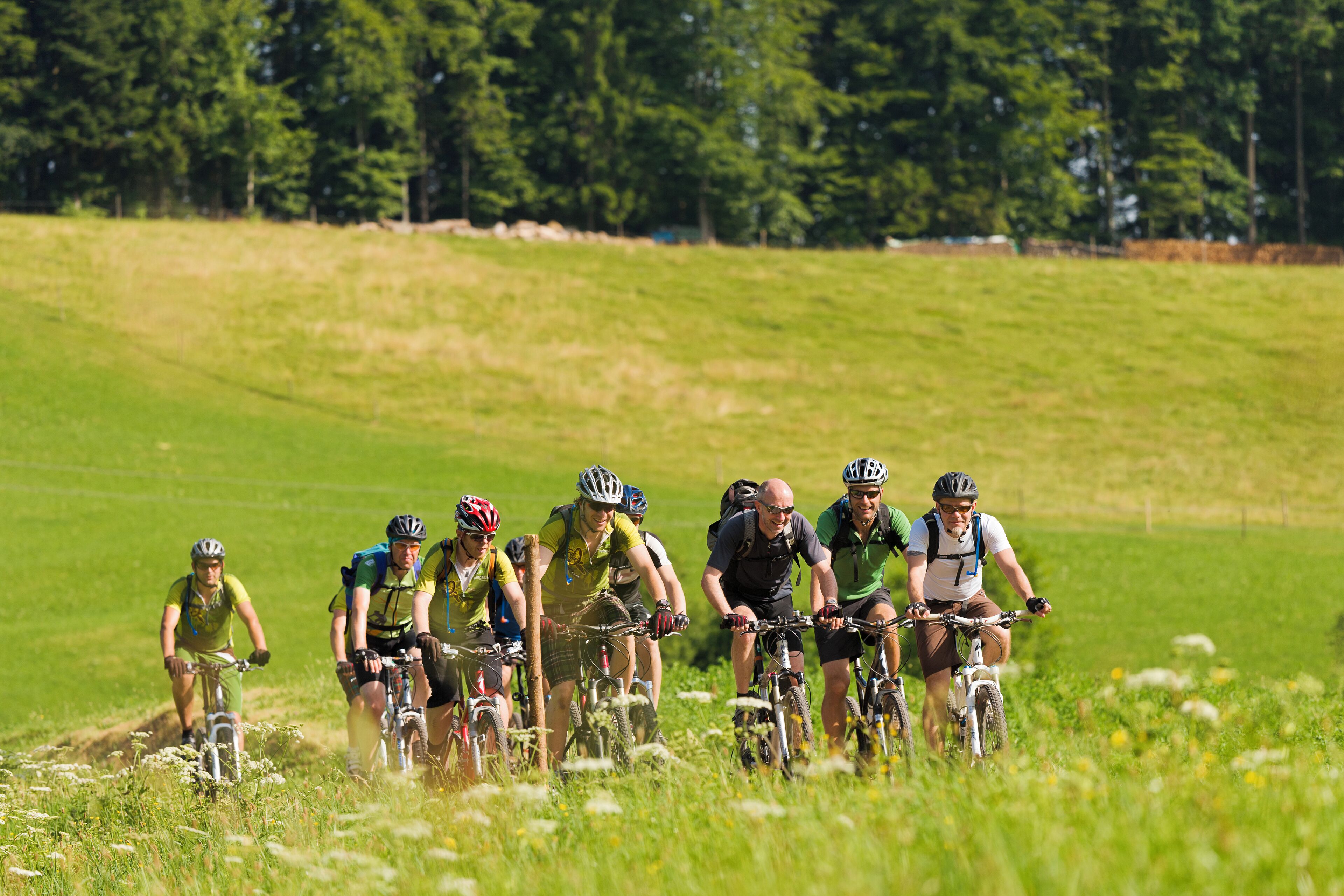 A group of cyclists on a grassy field with trees in the background.