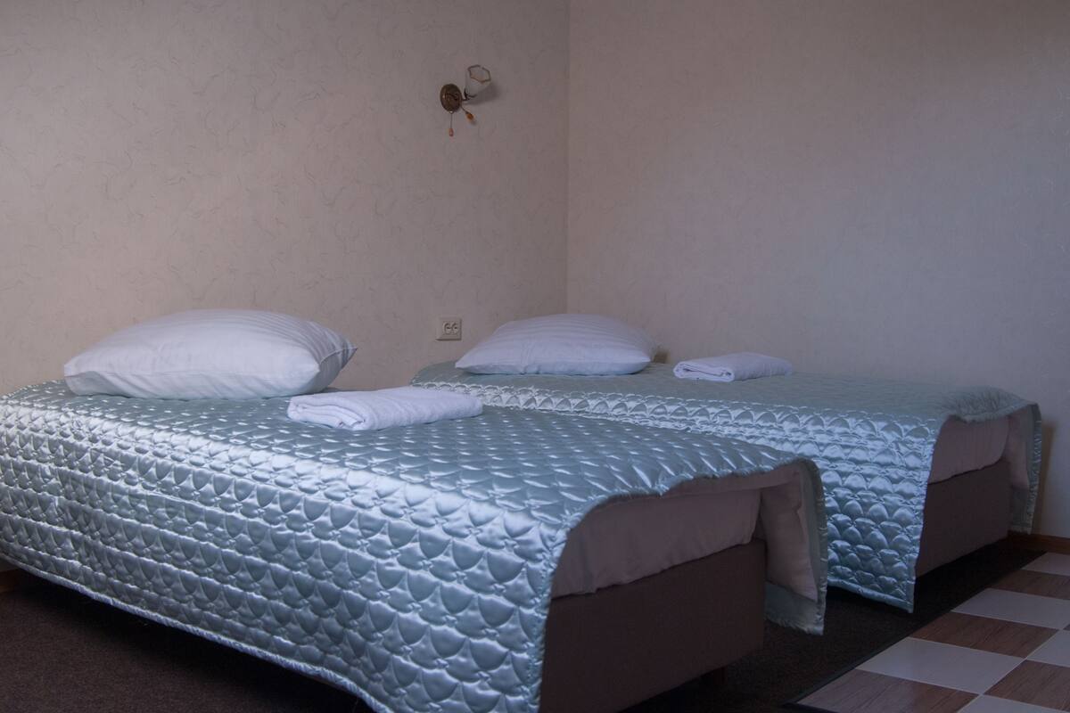 Habitación doble estándar, balcón | Tabla de planchar con plancha y wifi gratis