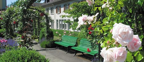 Un jardín con un banco verde, abundante vegetación y rosales en flor.