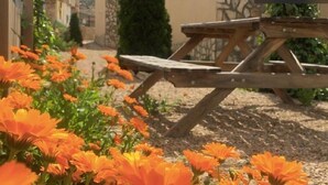 A garden with orange flowers and a wooden picnic table. - Rural apartment Aptos. Turísticos La Reserva for 2 people (Pajaroncillo)