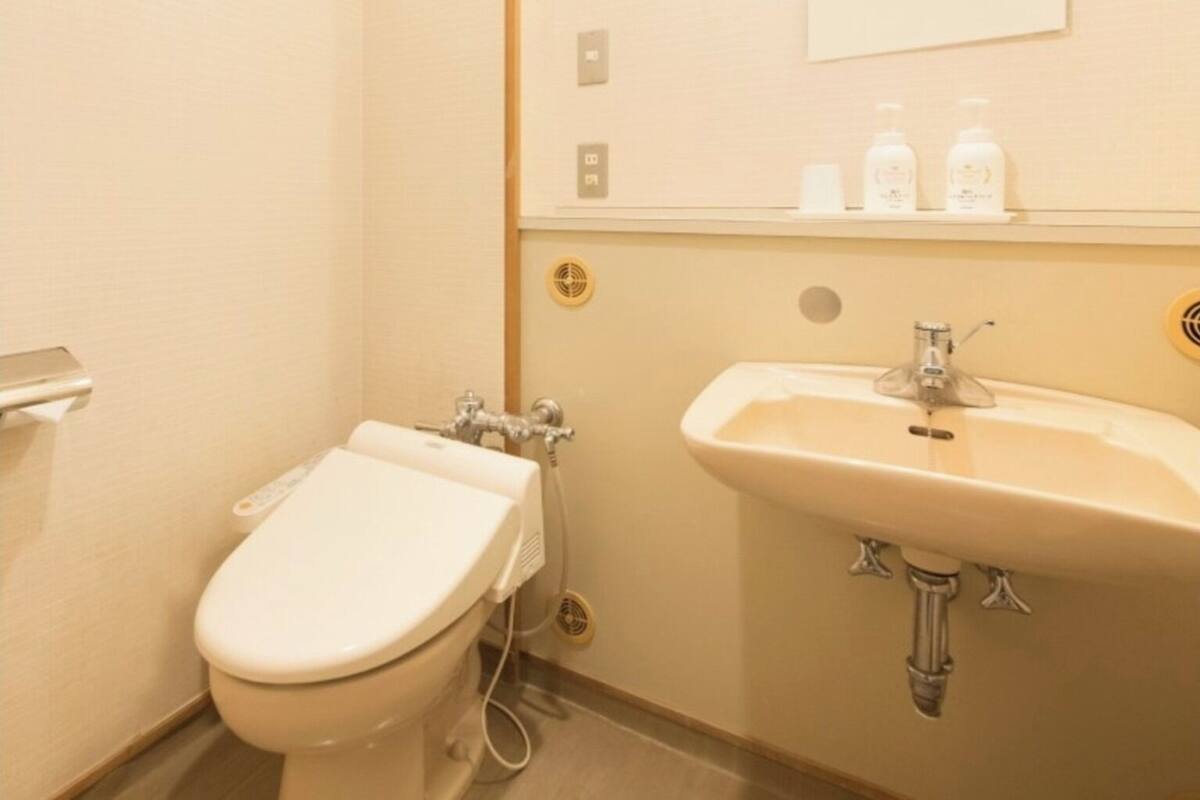 Een kleine badkamer met toilet, wastafel en spiegel.