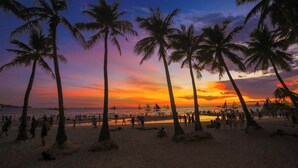A beach with palm trees and a sunset. -  ERUS SUITES HOTEL BORACAY (Boracay Island)