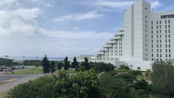 Standard Double Room | City view