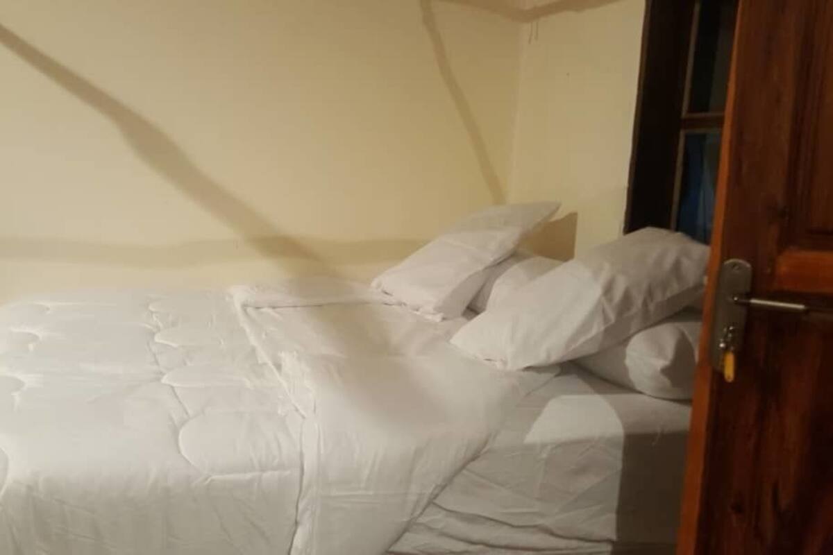 A bedroom with a bed, pillows, and a wooden door.