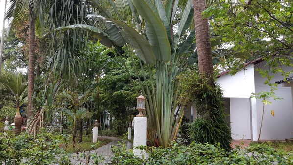 Vista al jardín