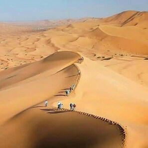 Aerial view - Bivouac LIHOUDI LES JARDINS DE BOUNOU (M'Hamid El Ghizlane)