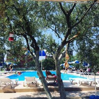 Standard Room, Pool View | Vista do quarto