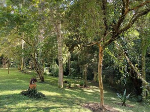 A lush garden with a variety of trees and shrubs, a wooden bench, and a small potted plant. - "RECANTO DO SOSSEGO " Villa in Cond. Closed 50 minutes from SP    (Mairinque)
