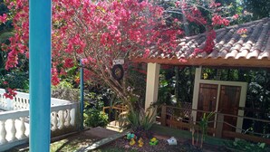 Ein Garten mit einem Pavillon, einer kleinen Gartenhütte und verschiedenen Pflanzen und Blumen.