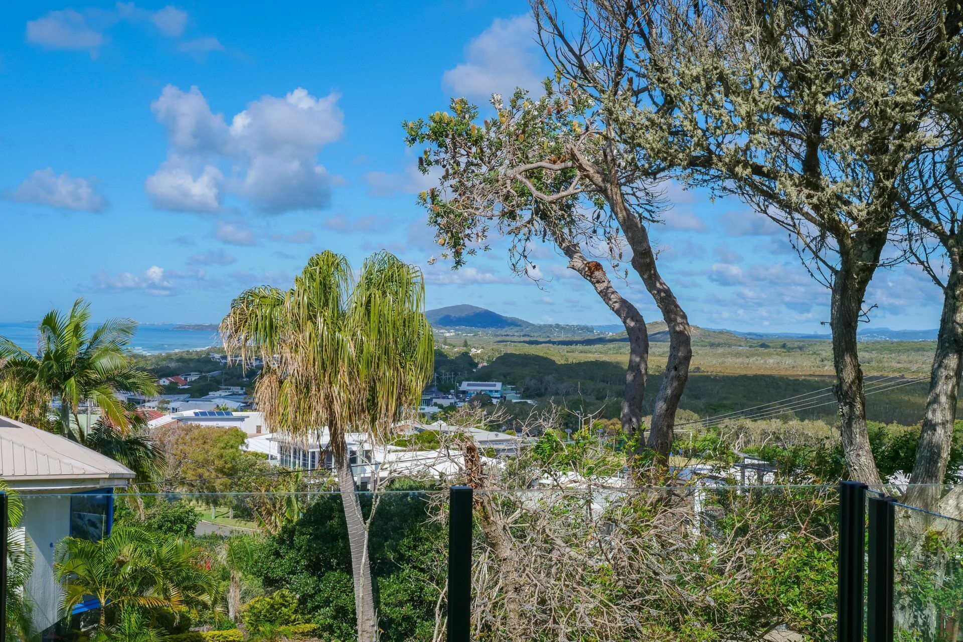 A residential area with houses, a palm tree, and a view of the ocean and hills.