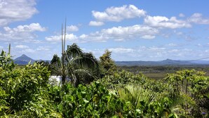 Un paysage luxuriant, avec une végétation dense, un ciel dégagé et des montagnes à l’horizon.