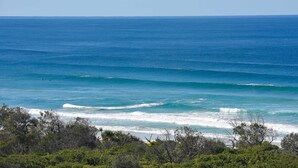 A coastal view with waves and greenery.