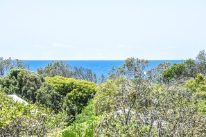 A coastal landscape with dense vegetation and a view of the ocean.