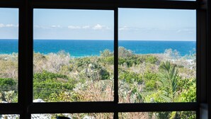 Vista a través de una ventana con diseño de cuadrícula, que muestra un paisaje costero con vegetación densa y el océano.