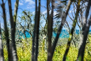 View from room - Nobs -1/44 Peregian Esplanade (Peregian Beach)