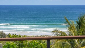 A coastal view with ocean waves, a clear sky, and some vegetation in the foreground.