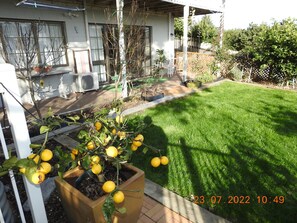 Property grounds - Central-East,  Saint Johns,Meadowbank, Kohi. Independent Suite 2-max3- Guests (Kohimarama)