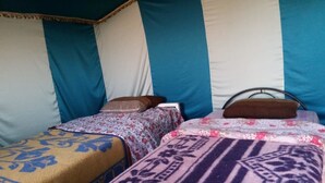 Tent - Rimal Travel - Campsite (M'Hamid El Ghizlane)