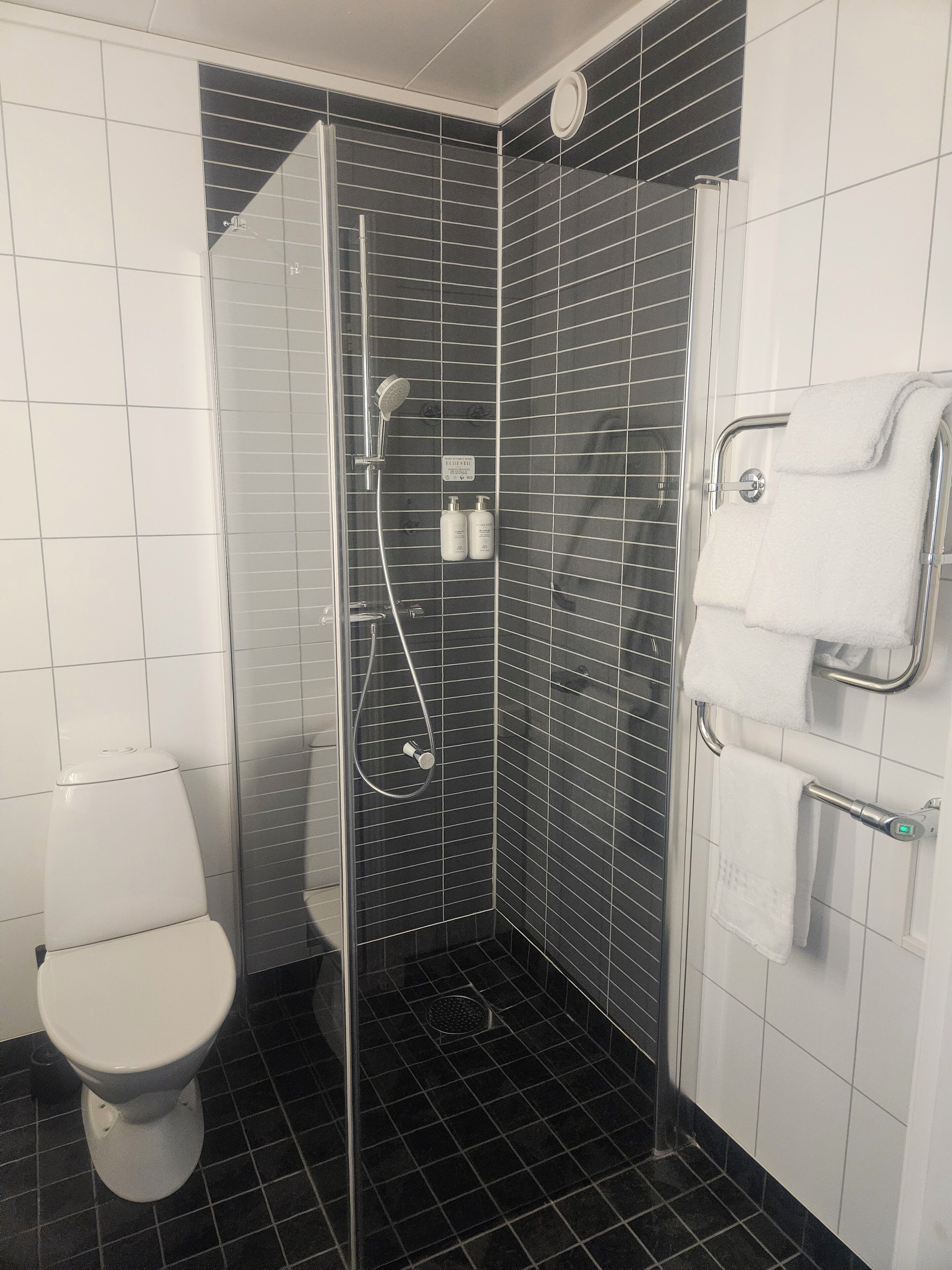 shower, free toiletries, hair dryer, towels