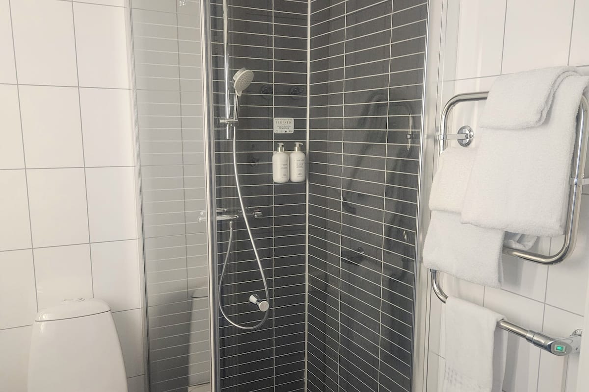 shower, free toiletries, hair dryer, towels