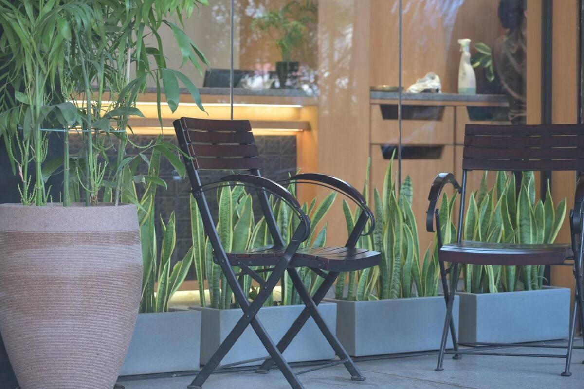 Two foldable chairs and a large potted plant in an outdoor seating area with a modern design and large windows.