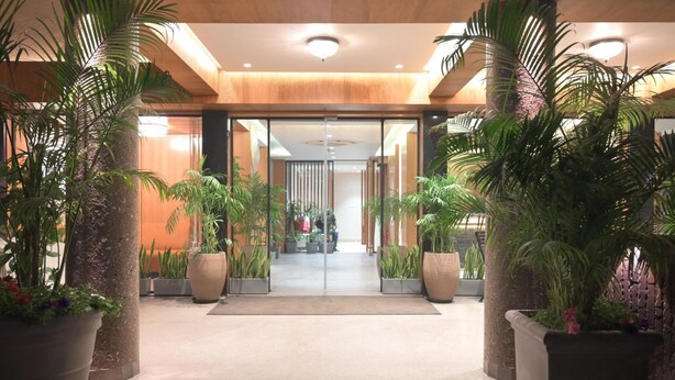 Entrada d'hotel amb disseny modern, amb plantes en testos grans i una porta de vidre que dona a l'interior.