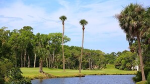 Een rustige golfbaan met een waterpartij, omgeven door weelderige begroeiing en hoge palmbomen.