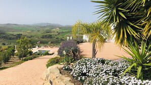 A landscaped garden with a pathway, a pool, and a view of rolling hills.