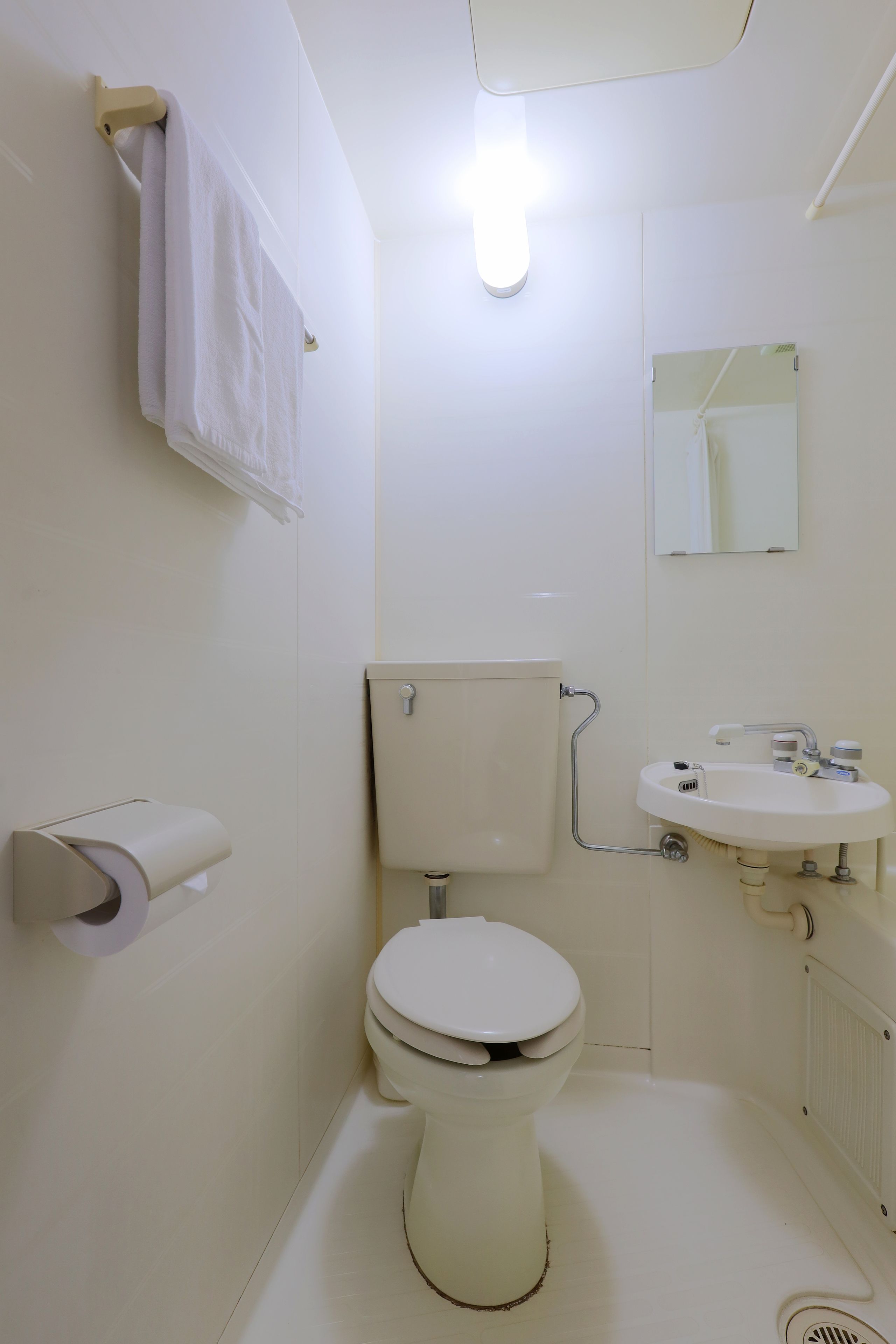 combined shower/bathtub, hair dryer, towels