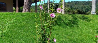 SITIO R BISPO WELCOME TO NATURE