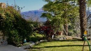 Ein Garten mit einer Palme, einer Steinmauer und einem Berg im Hintergrund.