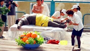 ห้องทรีทเมนท์สำหรับคู่รัก, ซาวน่า, ที่อาบน้ำแบบตุรกี/ฮัมมัม