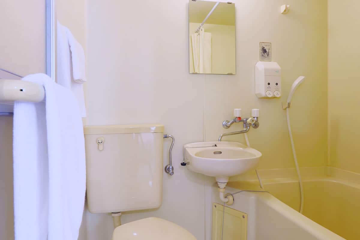 combined shower/bathtub, hair dryer, towels